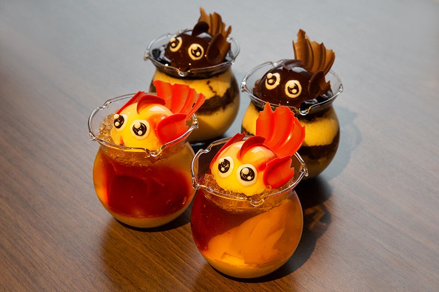 日本橋ナイトアクアリウム20