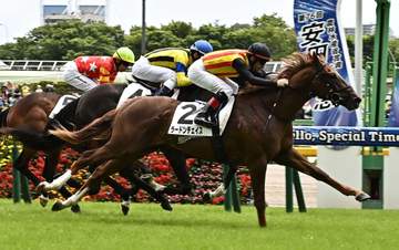 【新馬戦】ラードンチェイス 世代一番星だ 差し切りVに古賀慎師「折り合いついたし、脚使えて良かった」