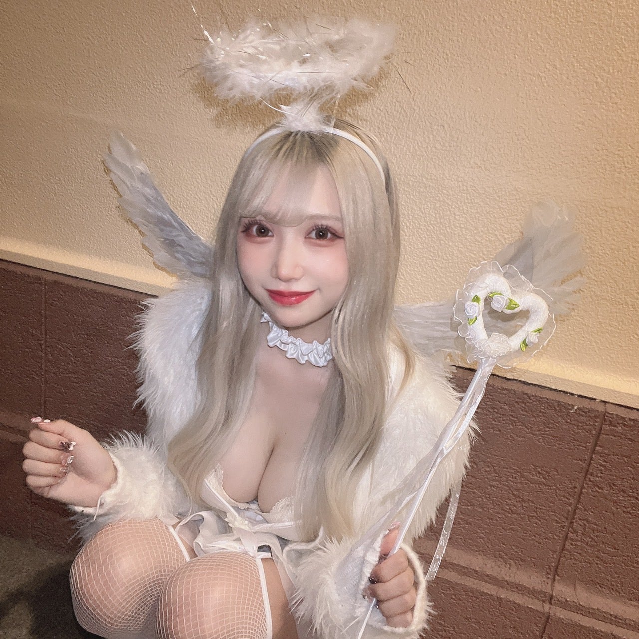 白豚／提供画像