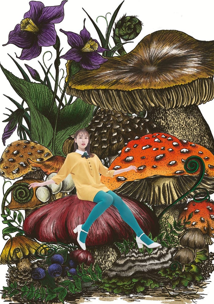 宮下かな子(提供写真)