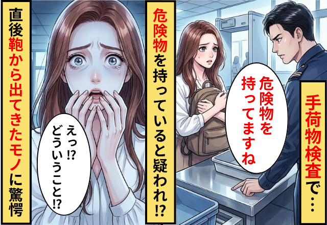 手荷物検査で…係員「危険物を持ってますね」私「え？」⇒直後私の鞄から出てきたモノに…「どういうこと」