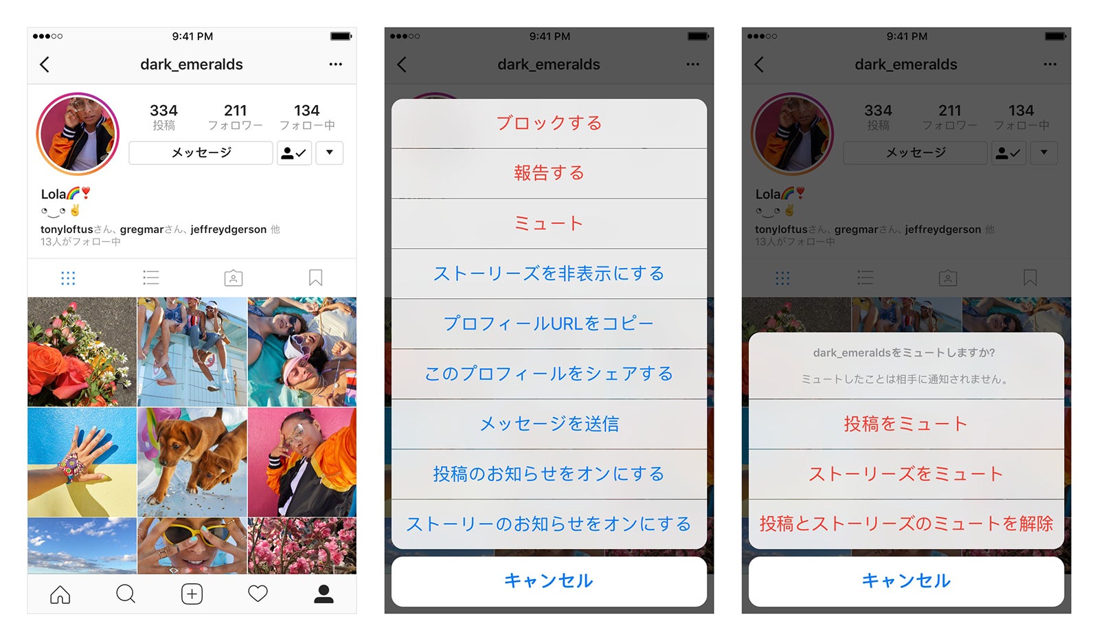 Instagram「ミュート」機能／プロフィールから（提供画像）