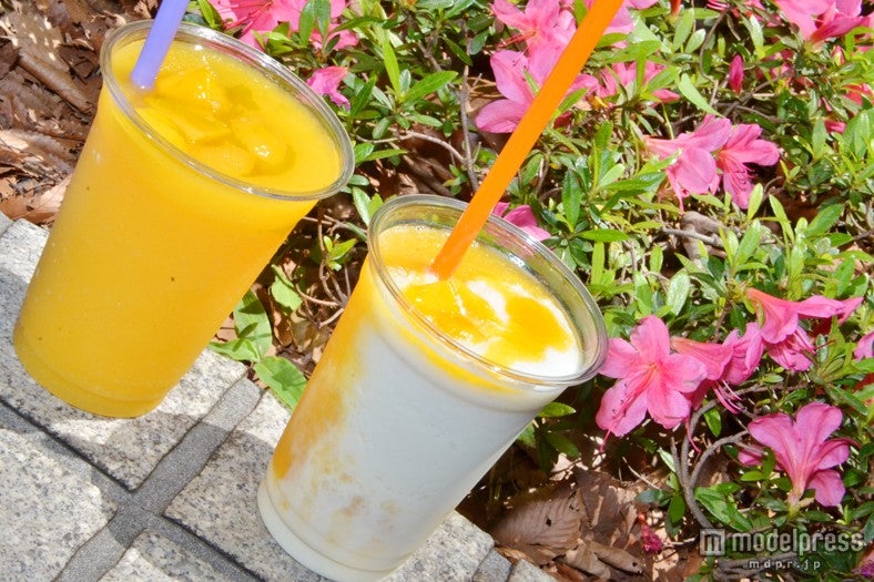 マンゴースムージー
