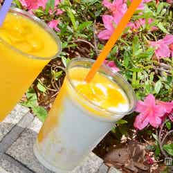マンゴースムージー