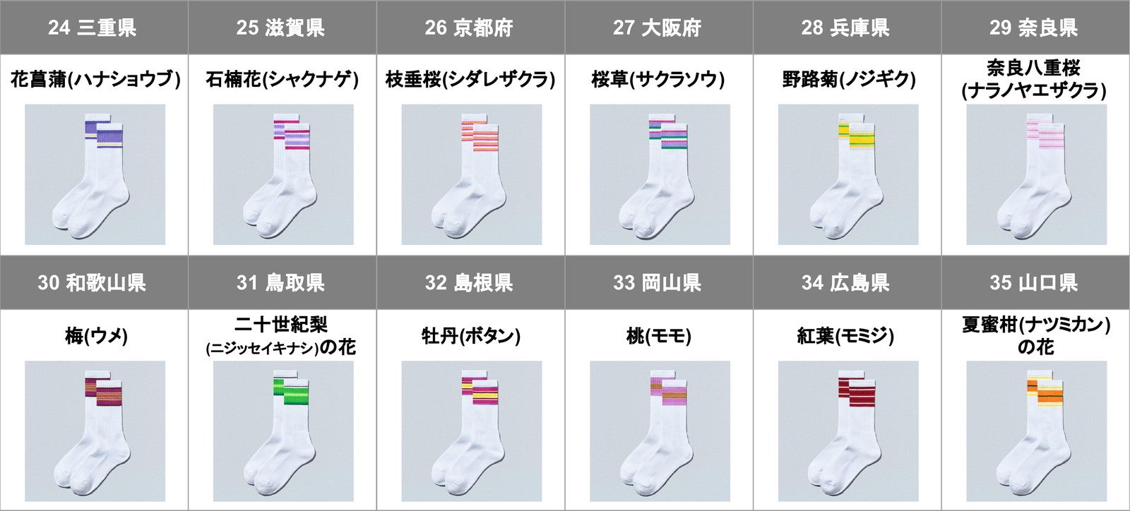 47都道府県別ラインソックス／提供画像