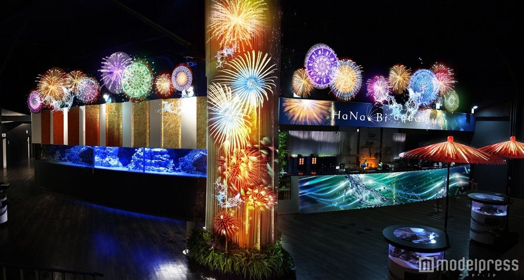 傘花火（夜）※イメージ／画像提供：横浜・八景島シーパラダイス