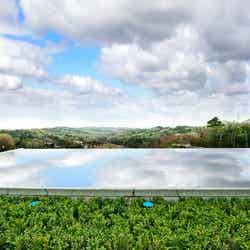 水の鏡・愛/画像提供:ネスタリゾート神戸