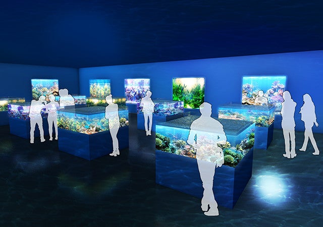 DMMかりゆし水族館／画像提供：DMM.com