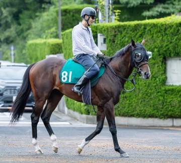 【新馬戦】エルドボルグ 先輩に続け！斉藤崇師も認める素質 欧州の良血馬に期待「2歳にしてはしっかりしていて瞬発力ある」
