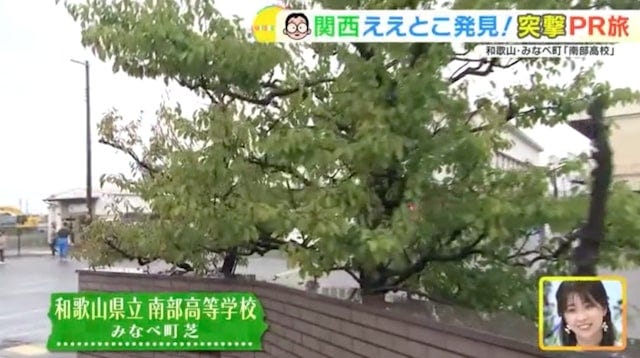 クエタマ鍋って知ってる？和歌山県みなべ町の「ええとこ」発見