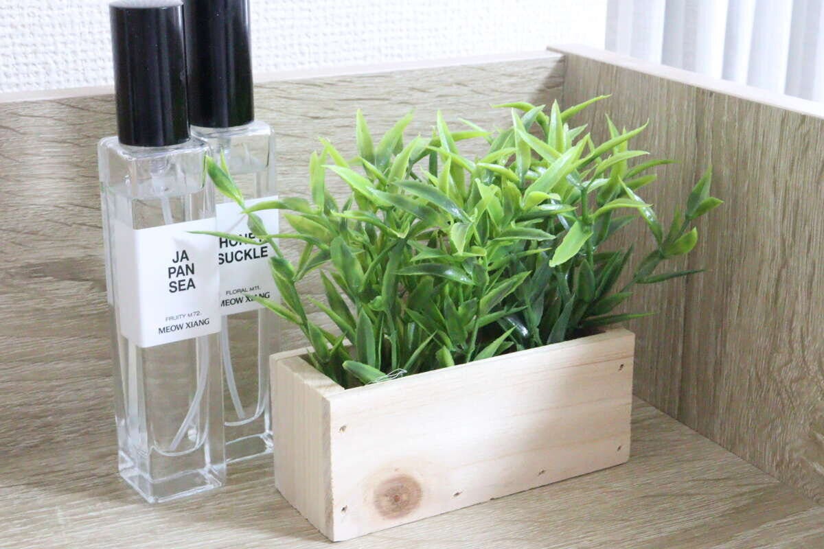 ダイソーの木製グリーンポットはナチュラルなインテリアと相性が良い