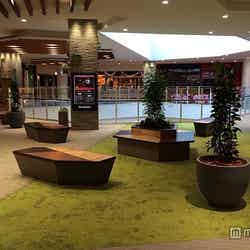 フォレストテラス