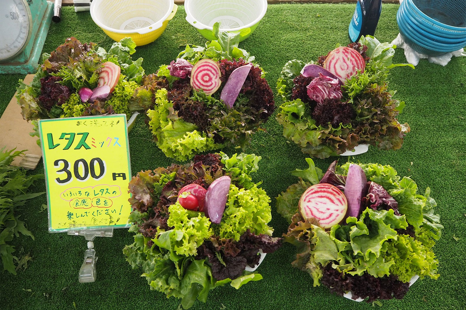 鎌倉市農協連即売所、通称「レンバイ」（C）SDP