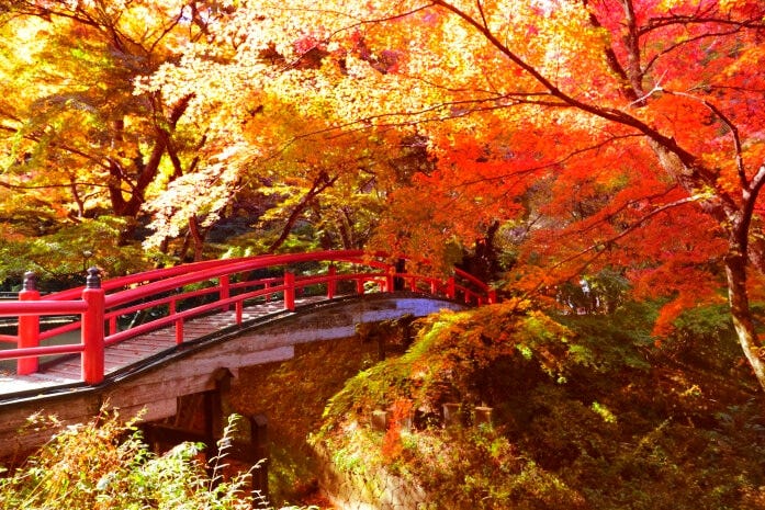伊香保温泉・河鹿橋の紅葉