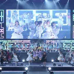 「Hello！ Project 25th ANNIVERSARY CONCERT」（提供写真）