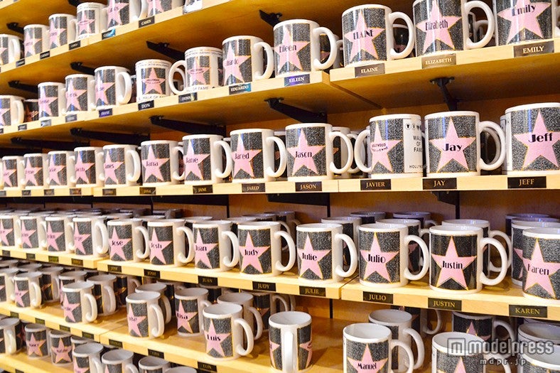 星形の敷石のマグ／画像提供：THE HOLLYWOODLAND 