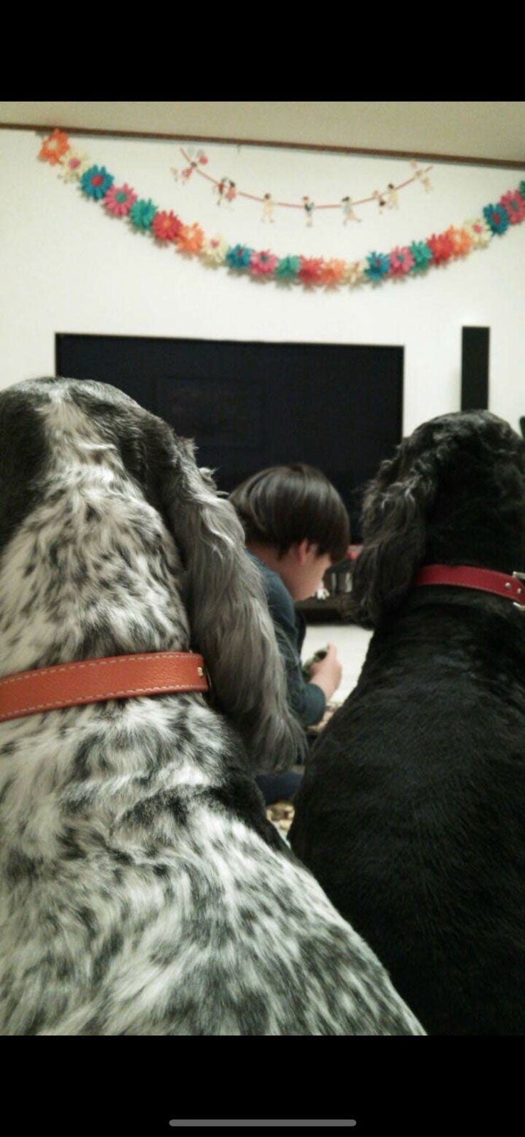 高橋克典オフィシャルブログ（提供写真）