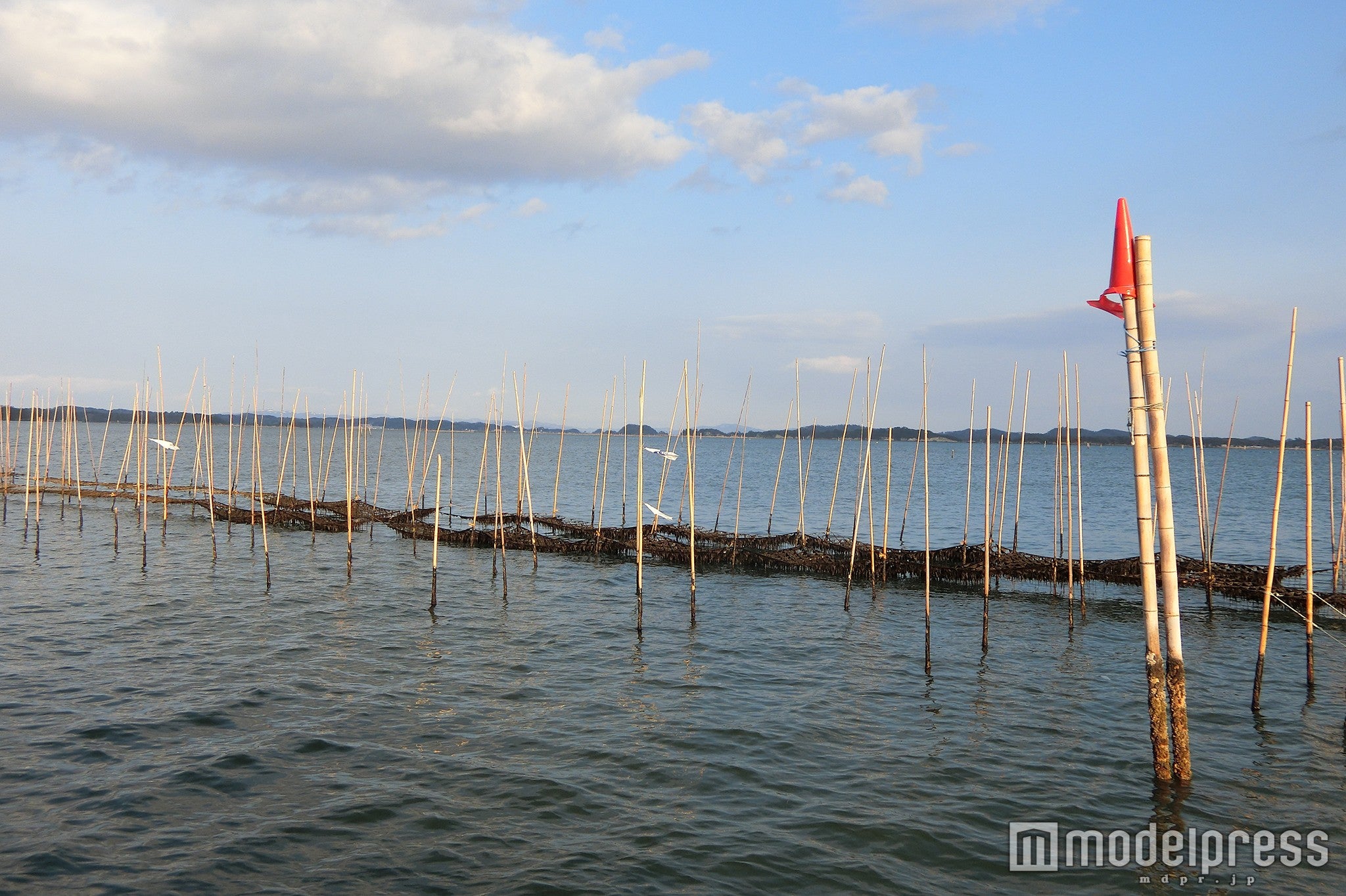 遊覧中に通過する松島湾のカキ養殖風景（C）モデルプレス