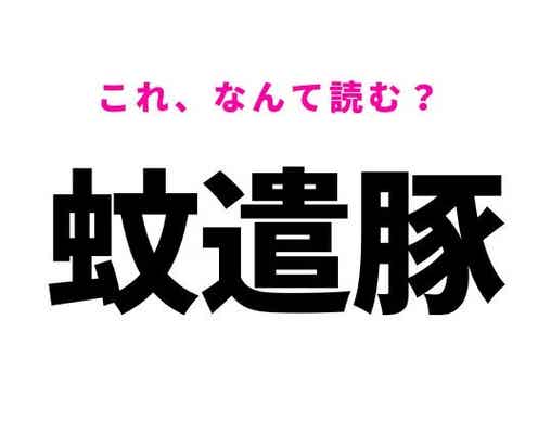 【蚊遣豚】はなんて読む?夏によく見かけるものを表す漢字!