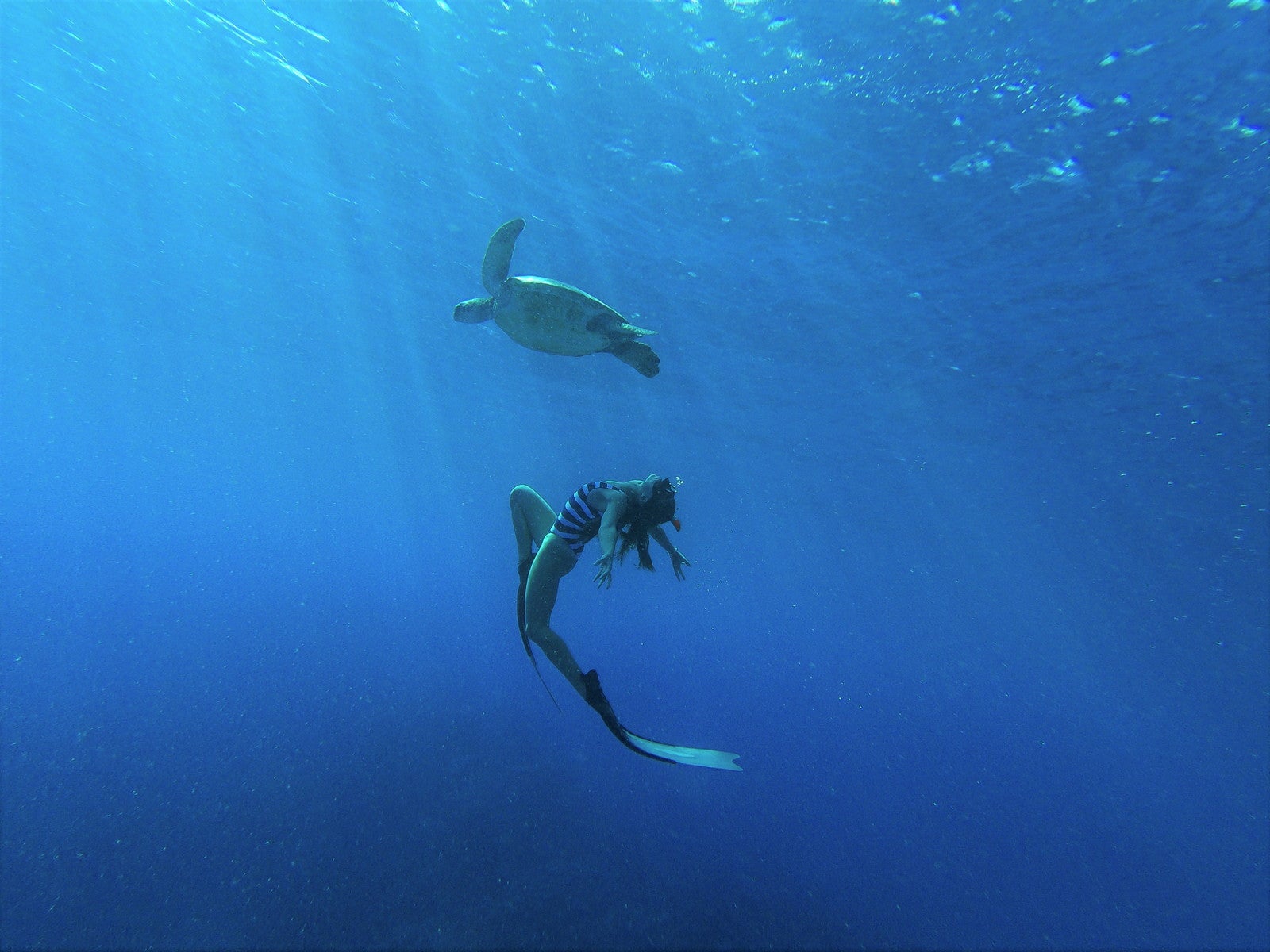 南の島ならではの出会いに心震える（C） Pauline Massé NCT