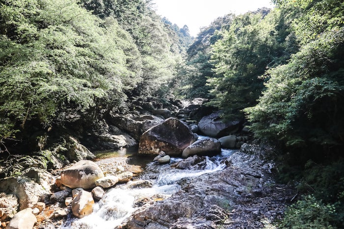 愛媛 四万十川源流 森の国 水際のロッジ 渓谷に佇むリノベ宿 大自然アクティビティも充実 女子旅プレス