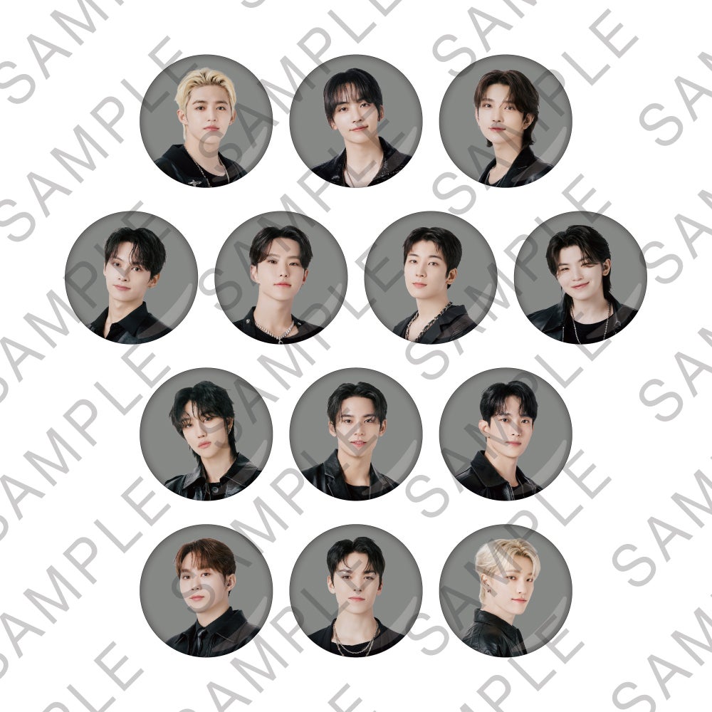 缶バッジ（ランダム13種）ver.2 税込715円／提供画像