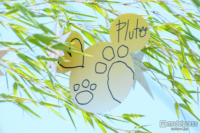 プルートのウィッシングカード