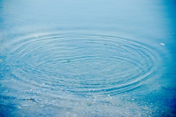 ミラクル食風水 幸せ恋愛運アップのために 三碧木星 モデルプレス