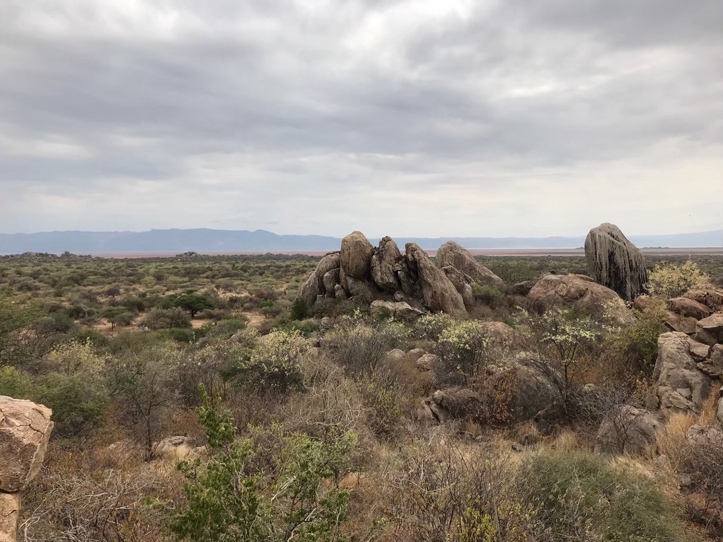 「所さんの目がテン！」アフリカ大陸タンザニア大型ロケの様子（C）日本テレビ