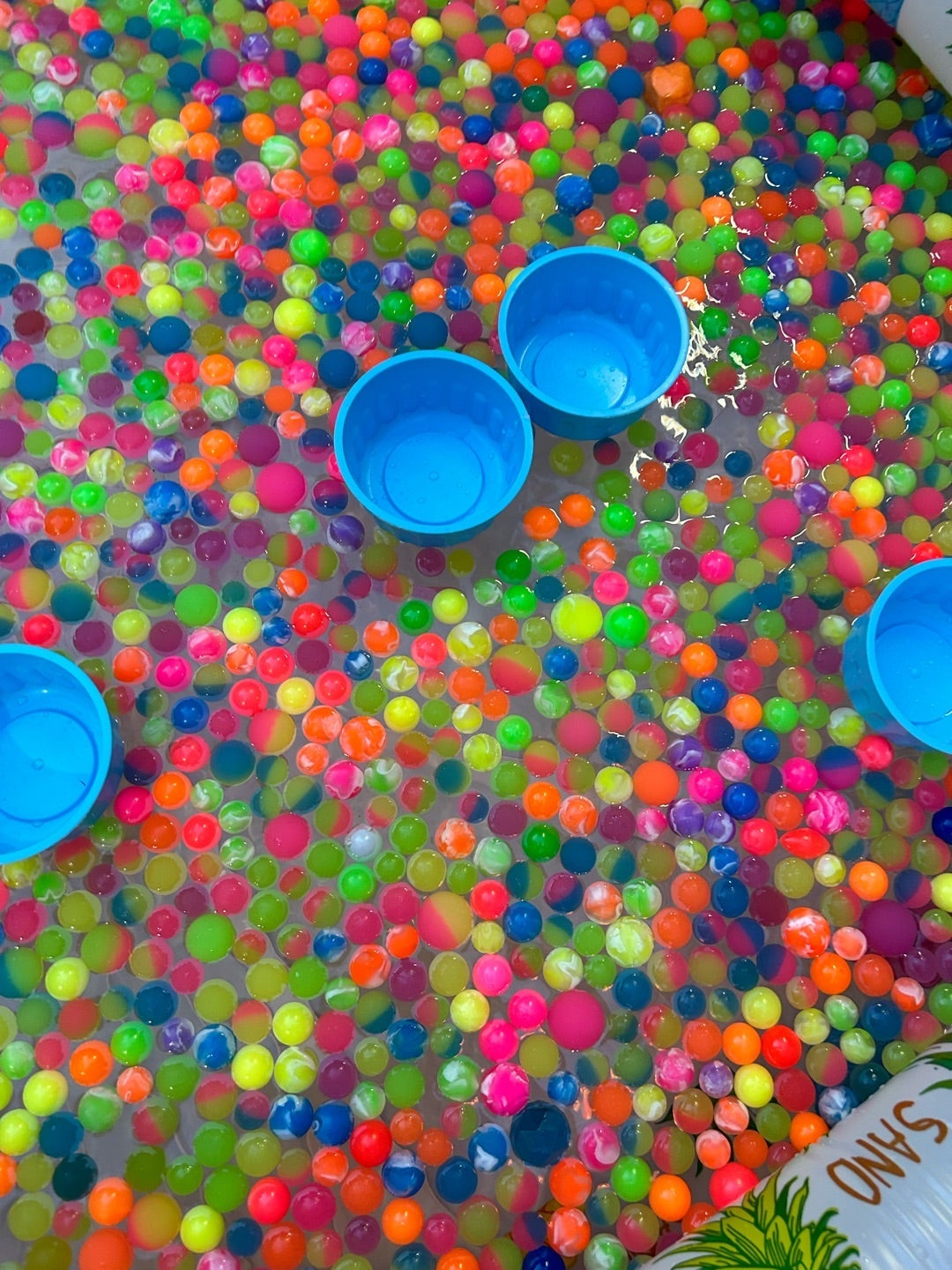 平野ノラ オフィシャルブログより