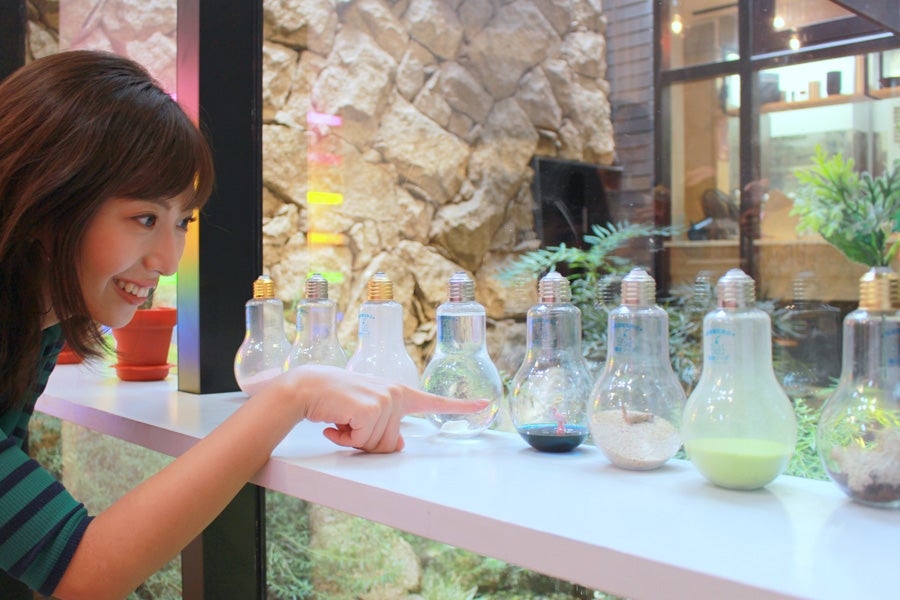 原宿電気商会インスタ映え