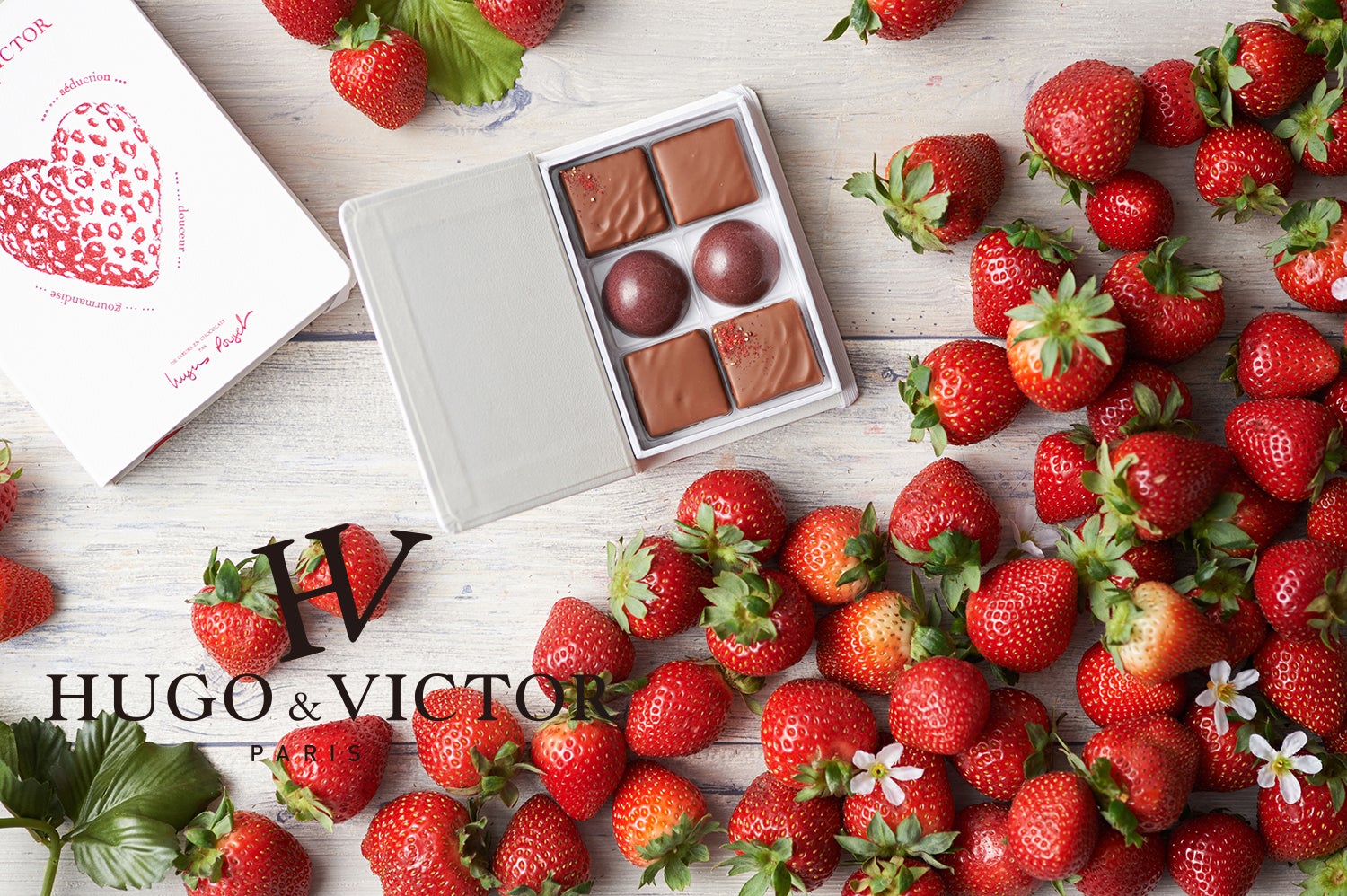 ユーゴ＆ヴィクトール／画像提供：株式会社マッシュホールディングス