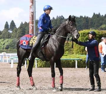 【青葉賞】ノーブルサヴェージ 混戦ムード断つ！無傷でダービー出走へ 唯一デビュー2連勝、ポテンシャルの高さメンバートップ