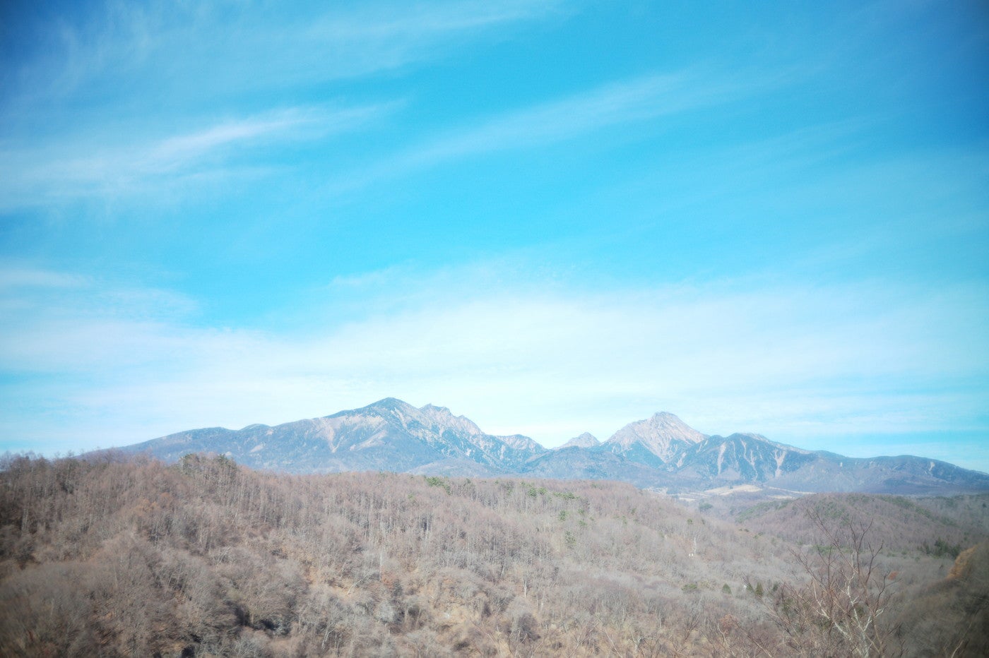 イスト／画像提供：Backpackers’ Japan