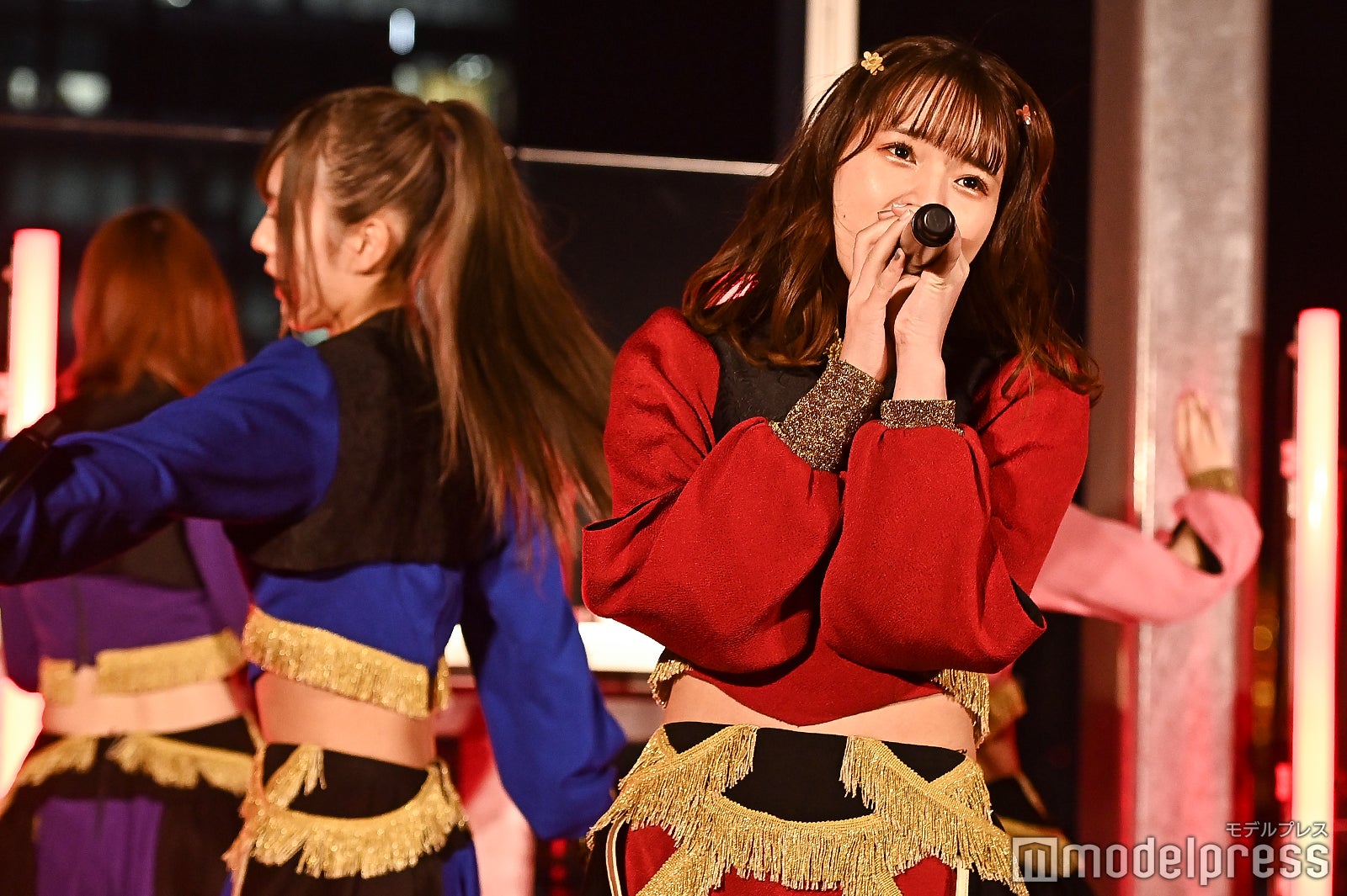 豆柴の大群（C）モデルプレス