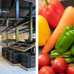 くらすわの森/提供画像