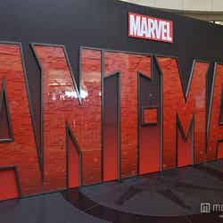 「アントマン」プレミア会場／（C）Marvel2015