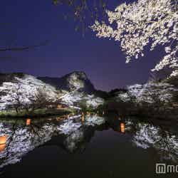 /御船山観光ホテル