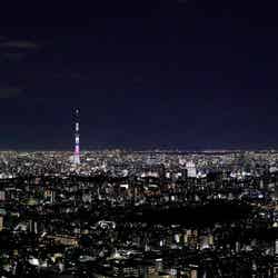 展望台からの風景/画像提供:株式会社サンシャインシティ