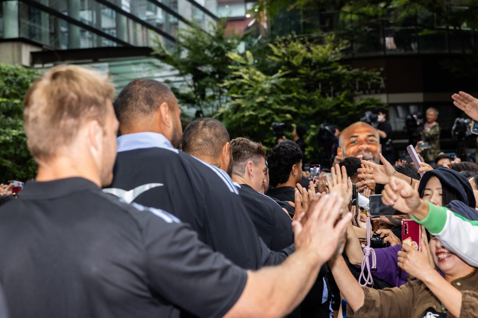 オールブラックス（提供写真）