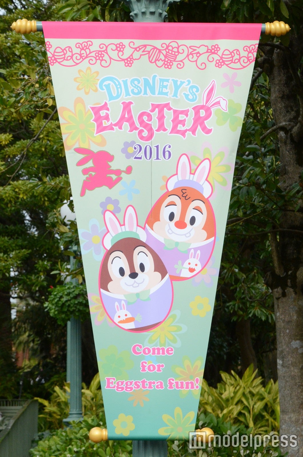 ディズニーランドのデコレーション／バナー（C）モデルプレス