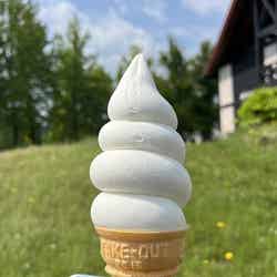 肉祭2025in日比谷公園/提供画像