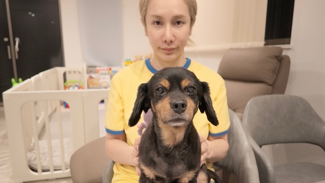 ヘラヘラ三銃士・ありしゃん、12才になった愛犬の病気について明かす