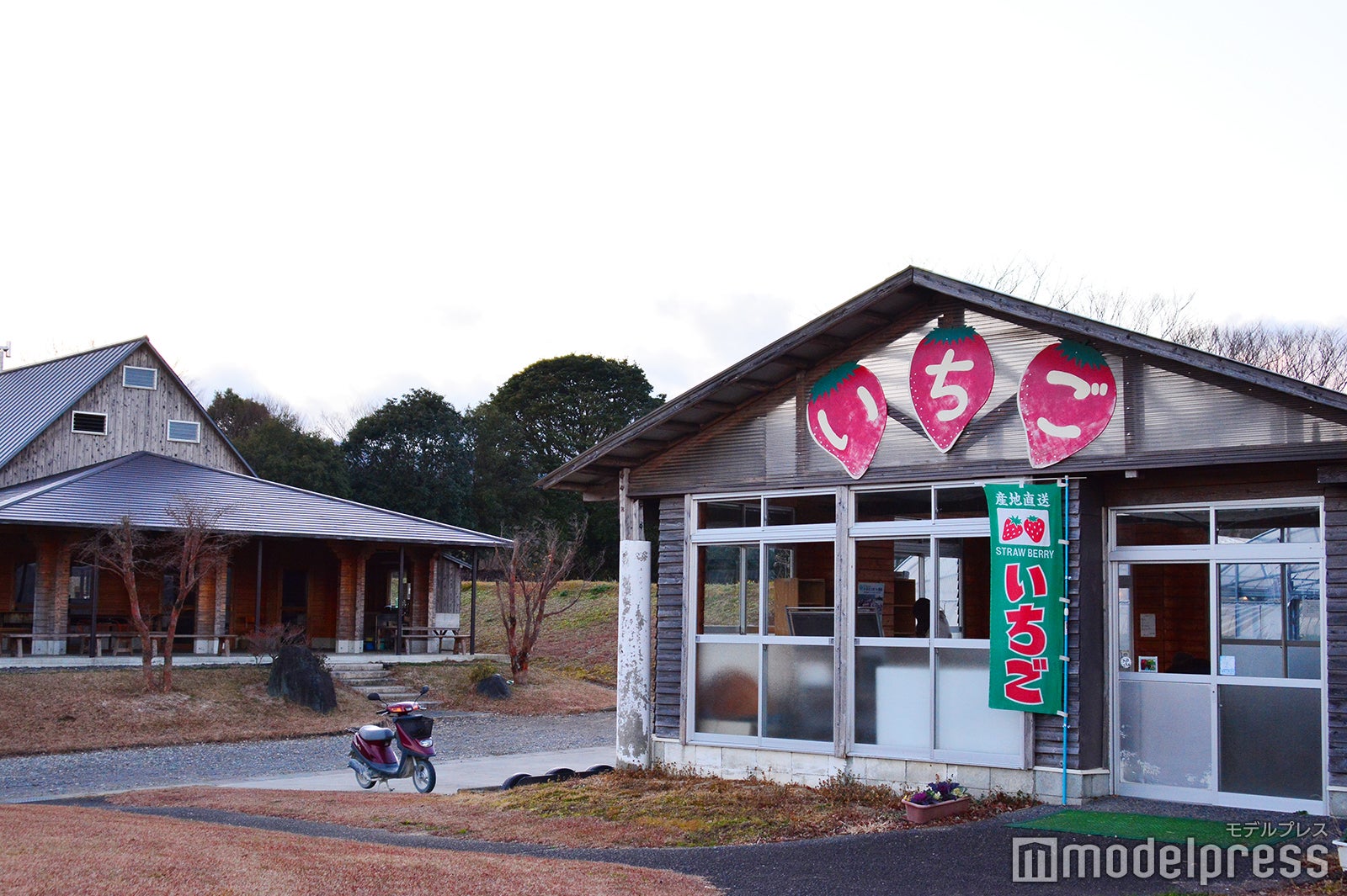 豊里いちご狩り農園（C）モデルプレス