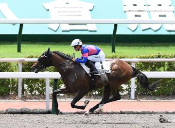 【新馬戦】タケルレジェンド 逃げ切りV 川田も素質を高評価「精神的な成長が伴えば、すごく楽しみな馬」
