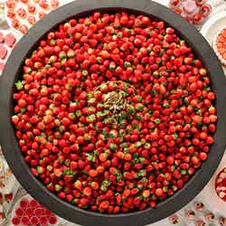 恋するいちごビュッフェ~It’s Strawesome!~(提供写真)