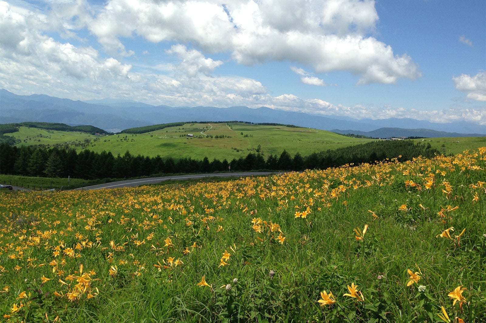 初夏からレンゲツツジやニッコウキスゲの花が咲き誇る／画像提供：（一社）諏訪観光協会