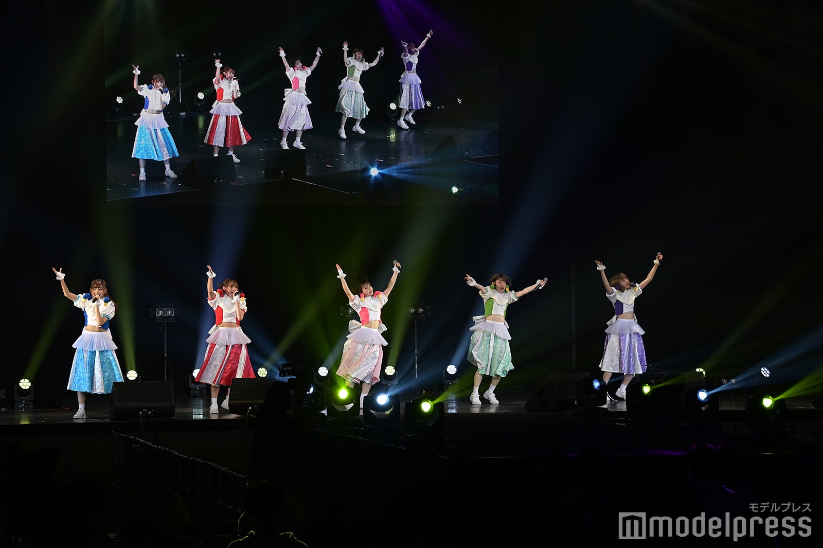 豆柴の大群（C）モデルプレス