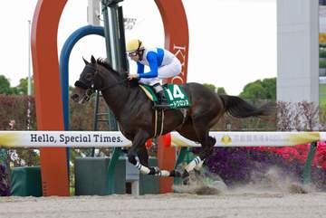 【平安S】1番人気のロードクロンヌが3馬身半差の完勝劇で重賞V2 横山和「本当にきょうは強かった。このクラスで力上位だと見せてくれた」