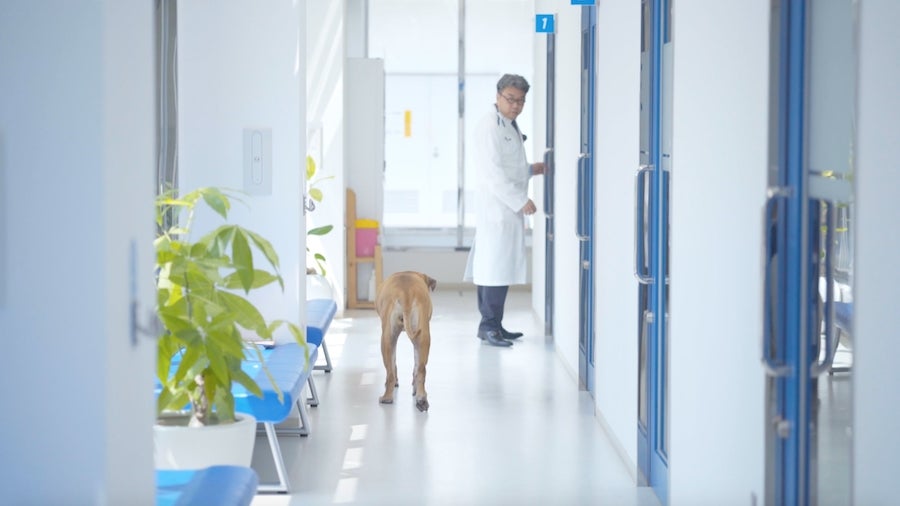 日本を元気にしたいと願う人々のストーリー